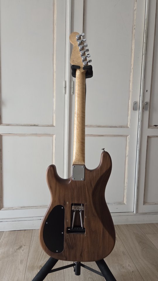 Guitarra Warmoth - Vendo/Cambio (Rebaja por Navidad)