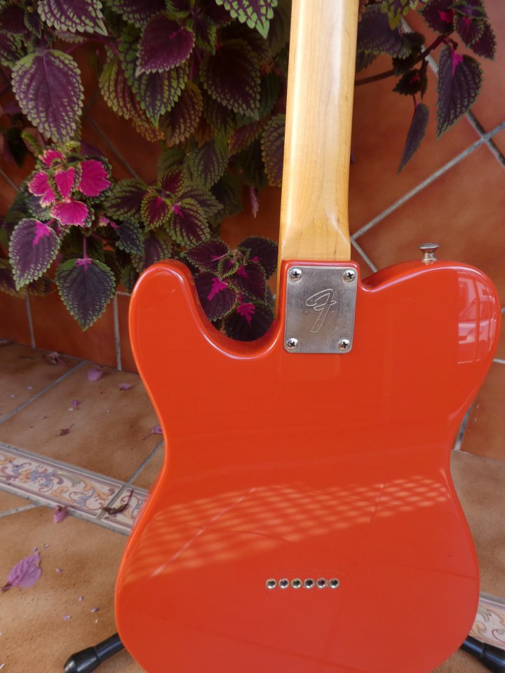Telecaster partcaster 1ª calidad