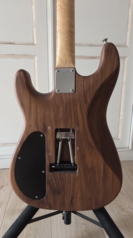 Guitarra Warmoth - Vendo/Cambio (Rebaja por Navidad)