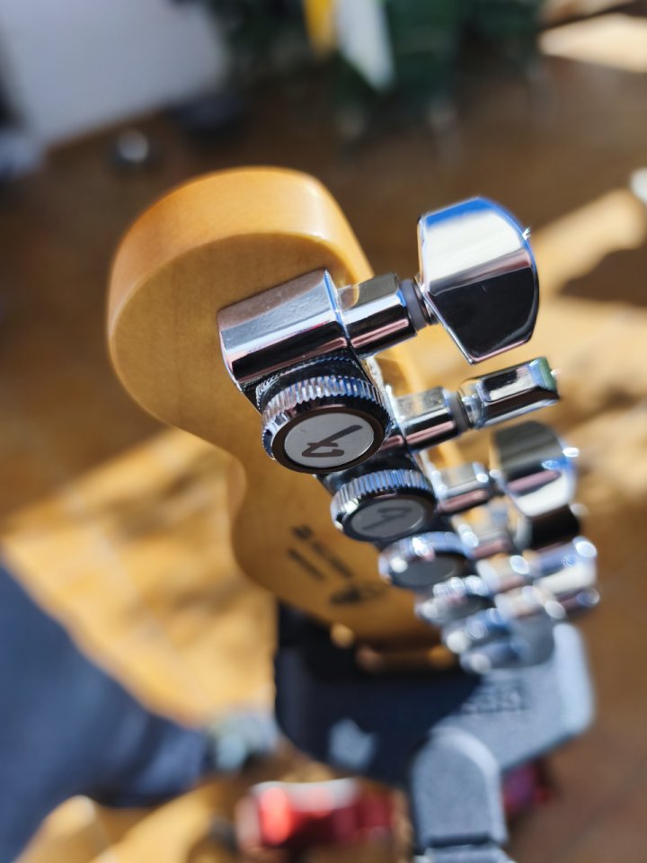 Telecaster Player Plus