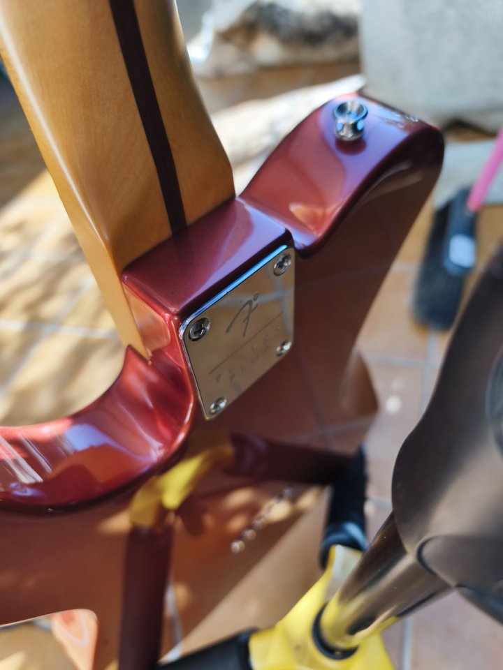 Telecaster Player Plus