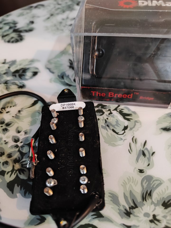 DiMarzio The Breed DP166BK de segunda mano · Foto 2 de 2 · A Coruña · 50 €