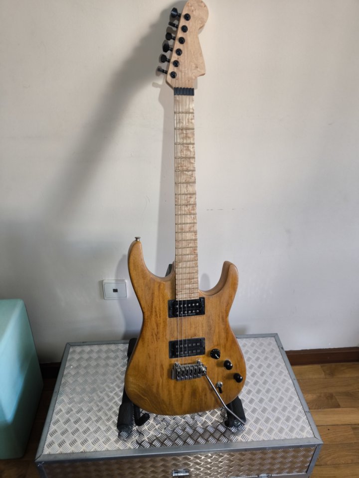 Guitarra Warmoth de segunda mano · Foto 1 de 5 · Pontevedra · 950 €