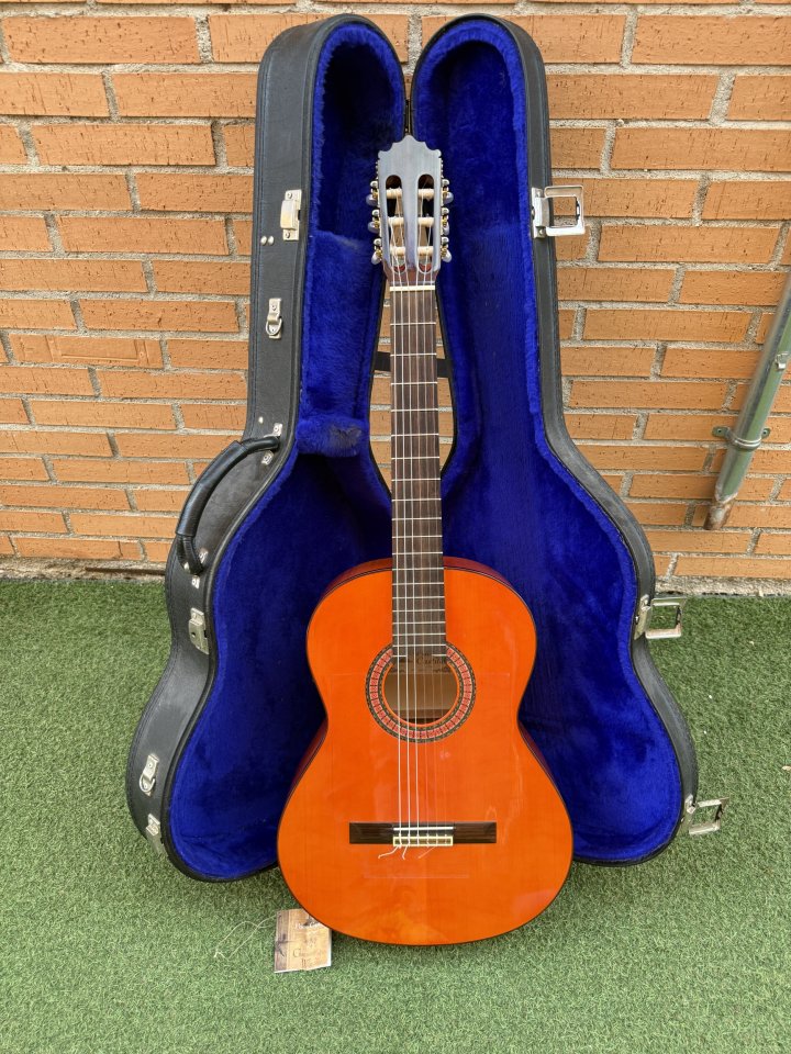 Guitarra Flamenca Paco Castillo 213F Fishman