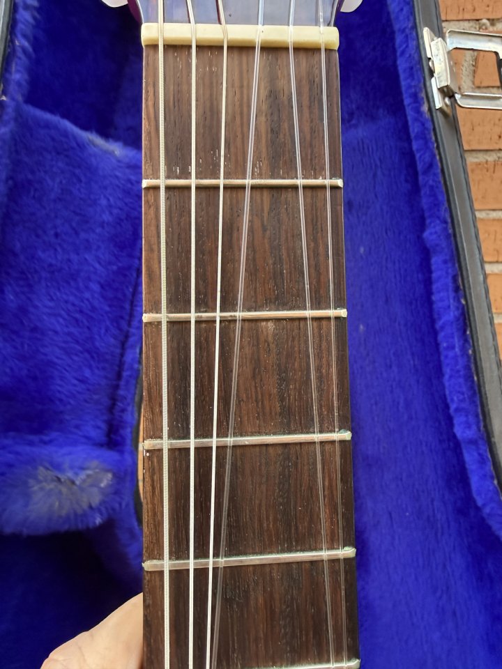 Guitarra Flamenca Paco Castillo 213F Fishman