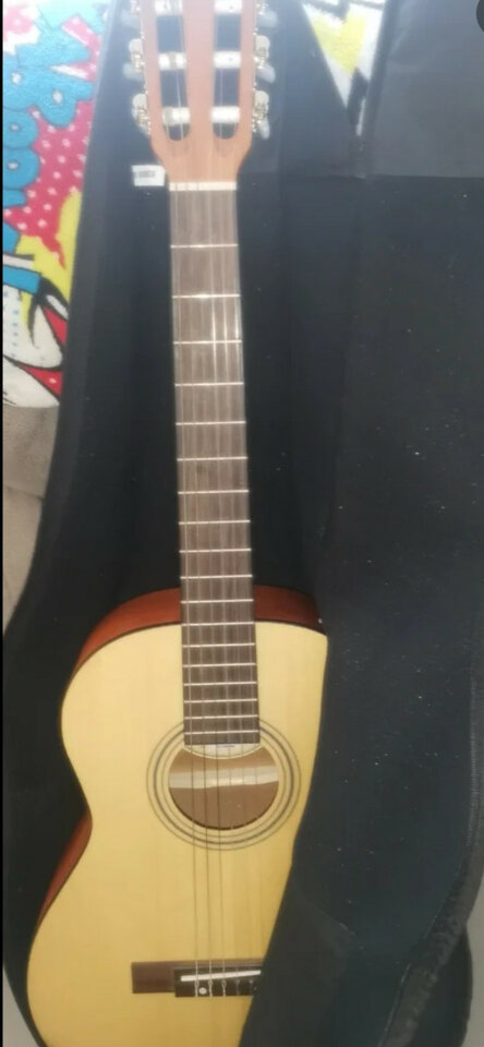 Fender acoustics ESC80