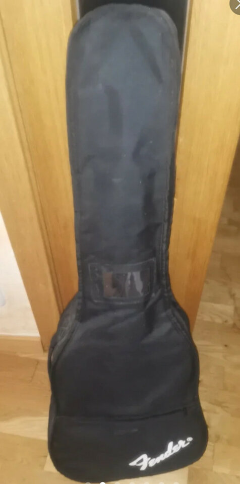 Fender acoustics ESC80