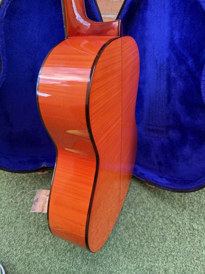 Guitarra Flamenca Paco Castillo 213F Fishman