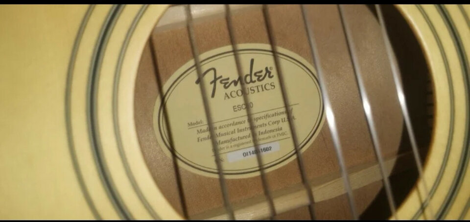 Fender acoustics ESC80