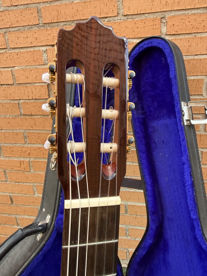 Guitarra Flamenca Paco Castillo 213F Fishman