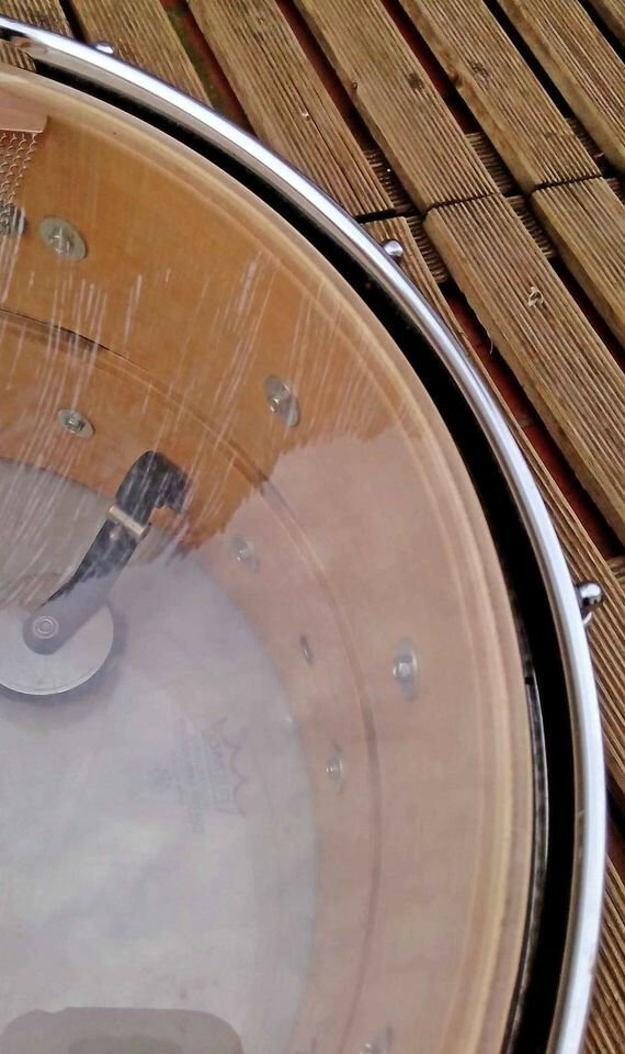 Ludwig Coliseum Sloated 14x8