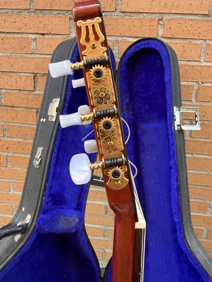 Guitarra Flamenca Paco Castillo 213F Fishman