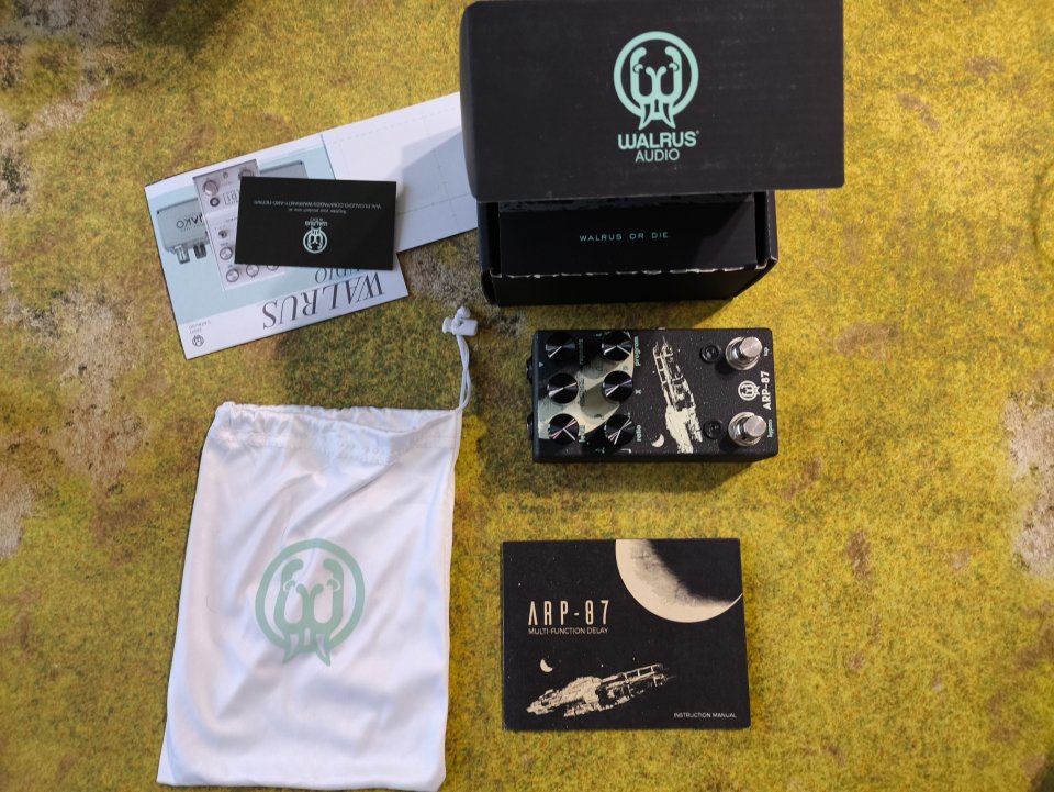 Walrus ARP 87 delay pedal