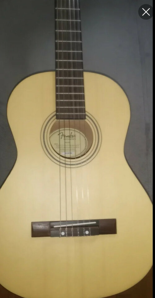 Fender acoustics ESC80