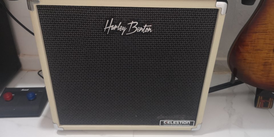 Pantalla con altavoz greemback G10 30w de segunda mano · Foto 1 de 9 · Alicante · 120 €