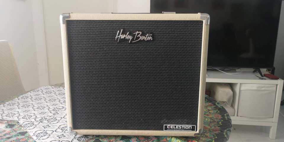 Pantalla con altavoz greemback G10 30w de segunda mano · Foto 2 de 9 · Alicante · 120 €