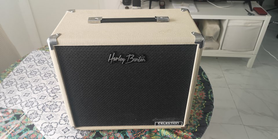 Pantalla con altavoz greemback G10 30w de segunda mano · Foto 3 de 9 · Alicante · 120 €