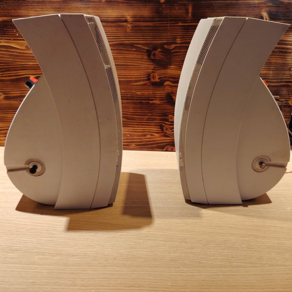 Altavoz Bose Panaray 302 A