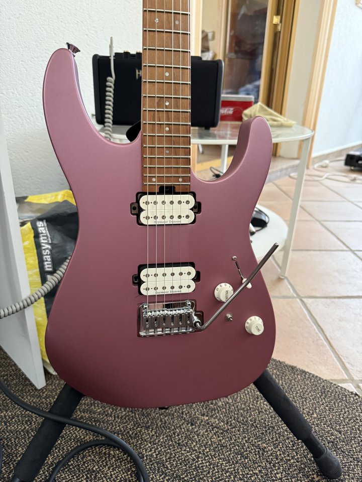 Charvel Pro Mod Dk 24 2pt HH