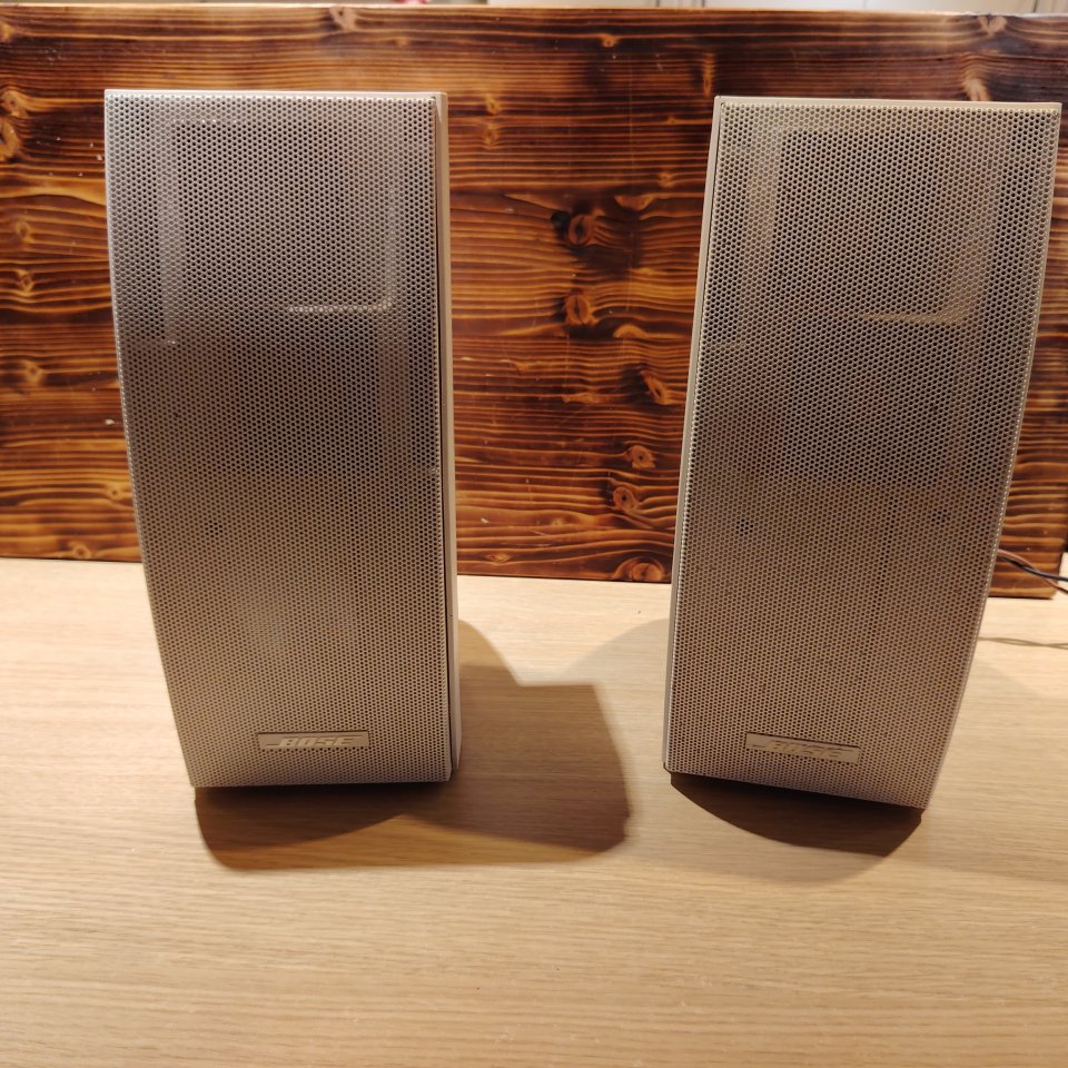 Altavoz Bose Panaray 302 A