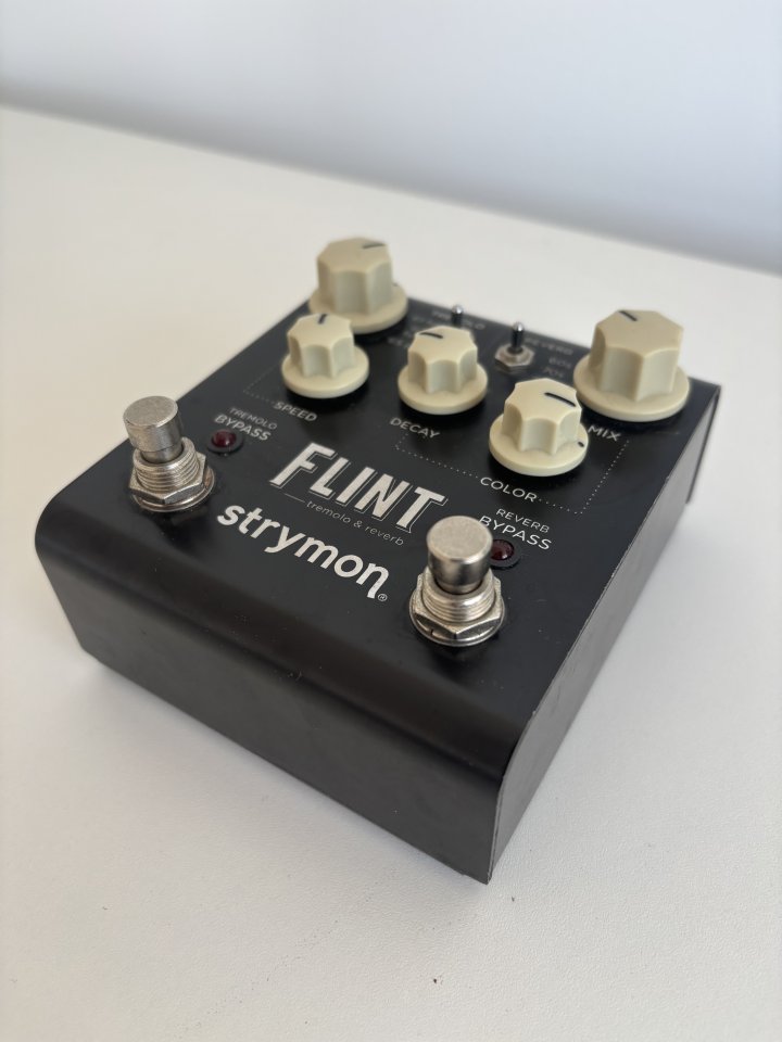 Strymon Flint (Reverb & Tremolo)