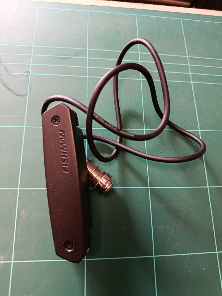 Pastilla acústica Fishman Neo- D humbucking