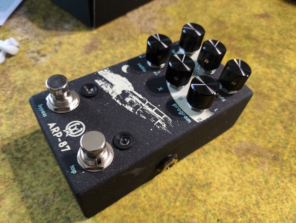 Walrus ARP 87 delay pedal