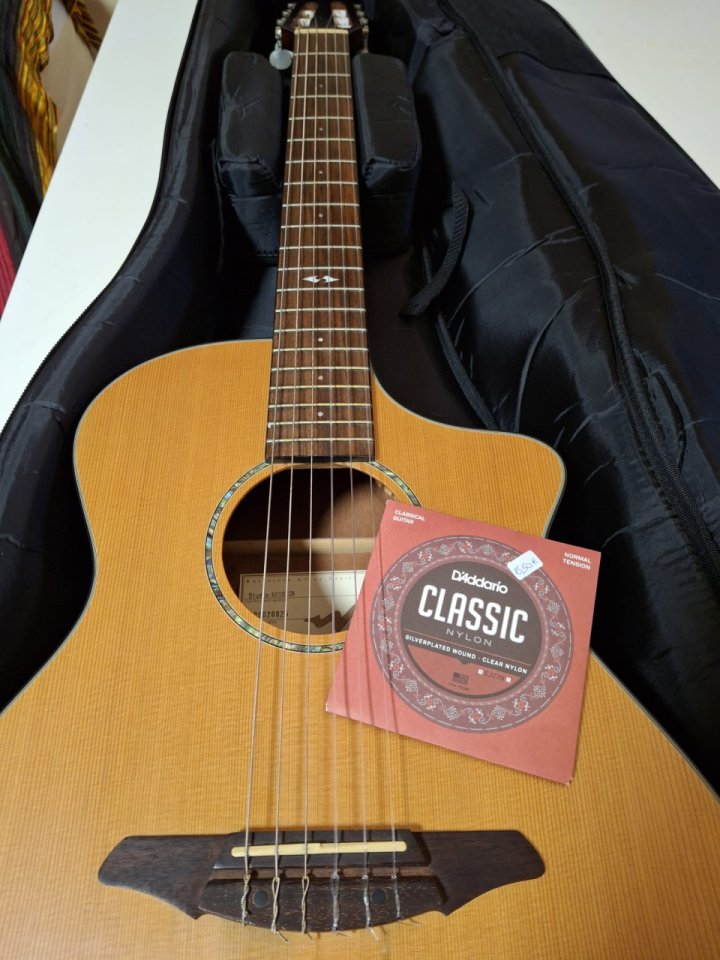 Breedlove Studio N250/CR Nylon