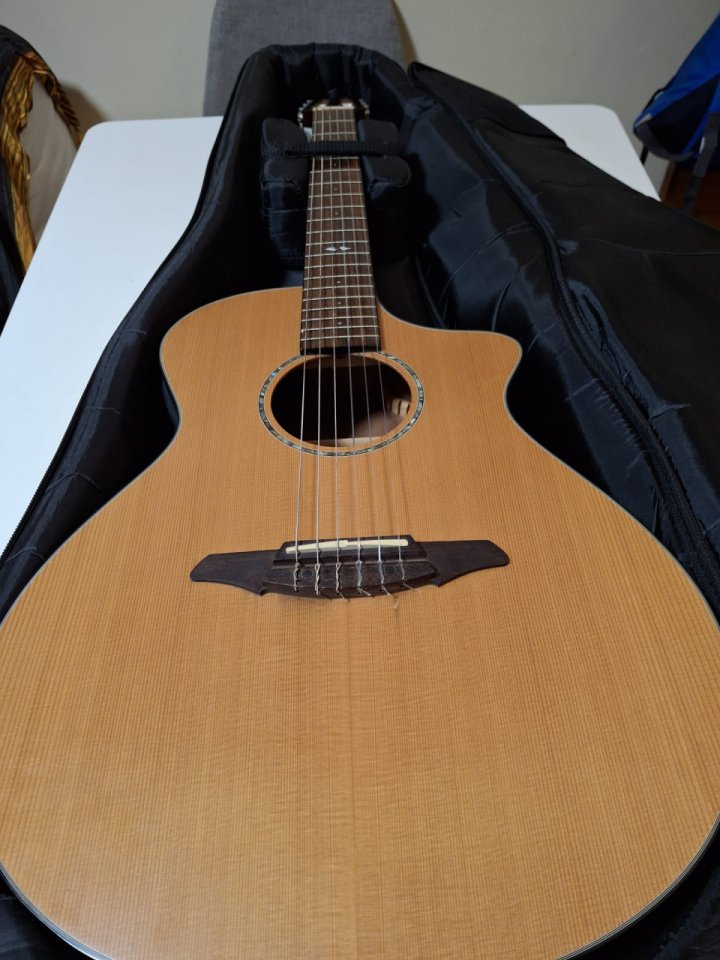 Breedlove Studio N250/CR Nylon