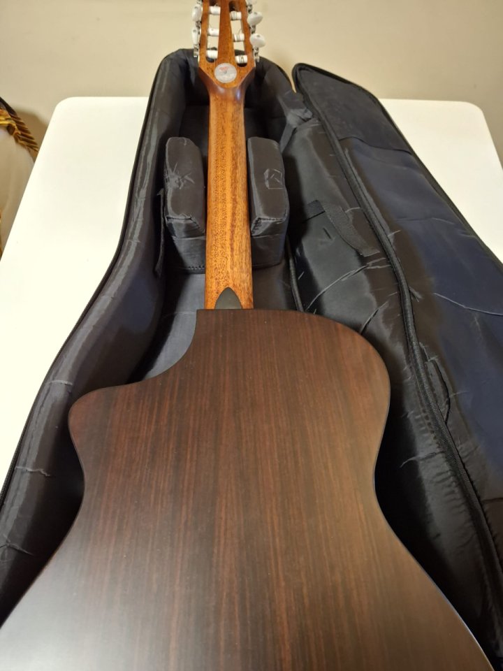 Breedlove Studio N250/CR Nylon
