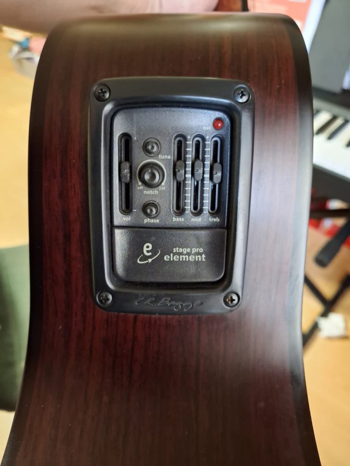 Breedlove Studio N250/CR Nylon