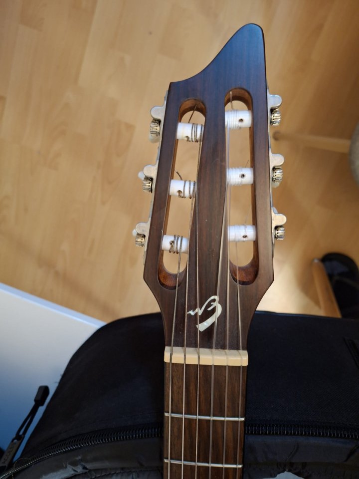 Breedlove Studio N250/CR Nylon