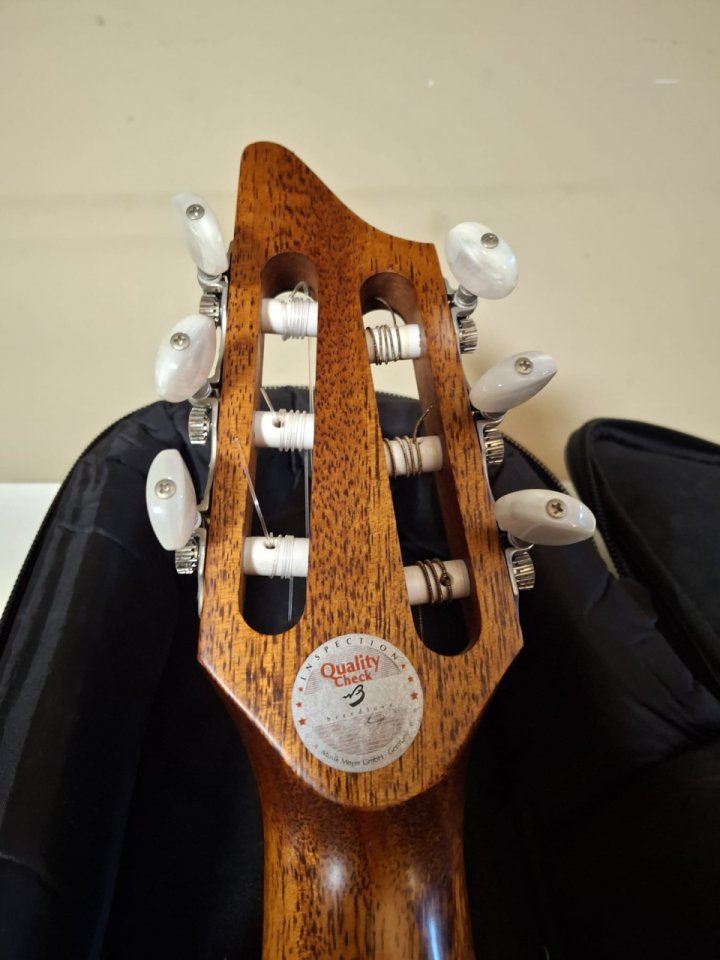 Breedlove Studio N250/CR Nylon