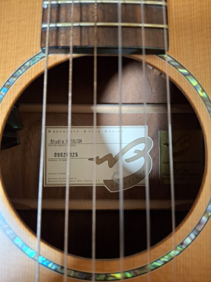 Breedlove Studio N250/CR Nylon