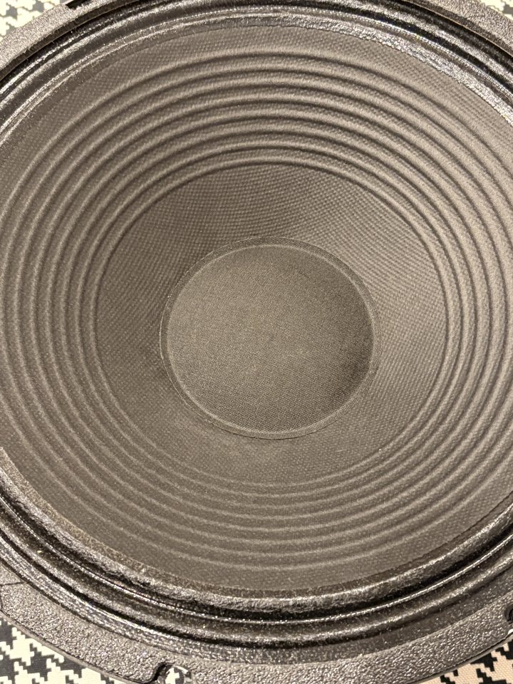 Altavoz Eminence Swamp Thang 8 ohm