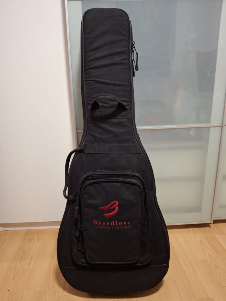 Breedlove Studio N250/CR Nylon