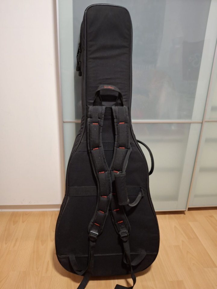 Breedlove Studio N250/CR Nylon