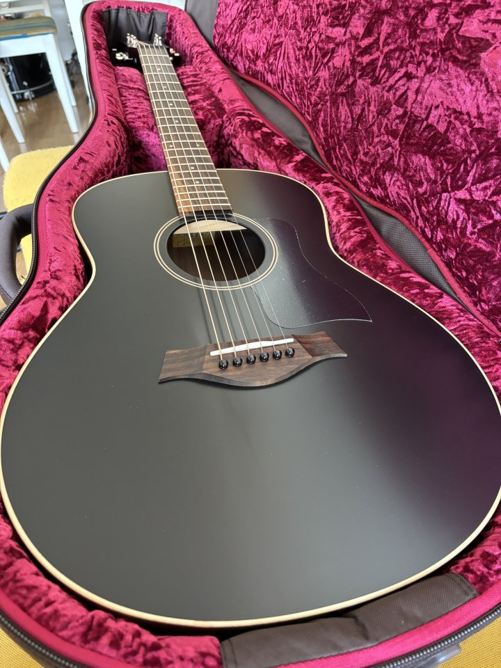 Guitarra TAYLOR AD11 GT blacktop NUEVA!