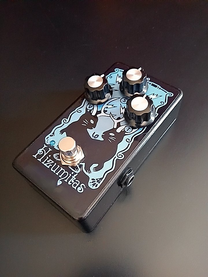 ‼️ENVIO INCLUIDO. Tipo Fuzz Sustainar Hizumitas Black