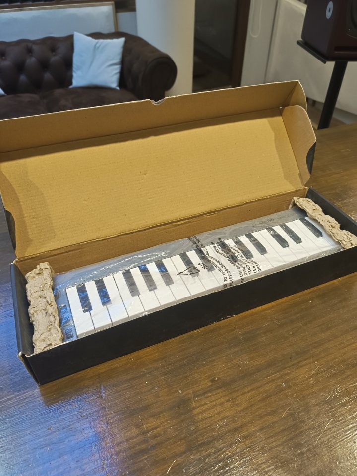 M-Audio Keystation Mini 32 RESERVADO