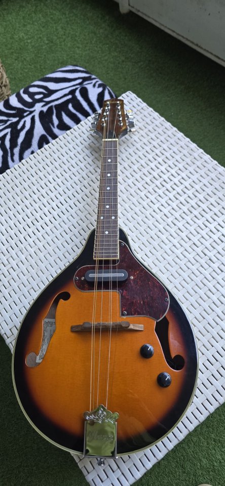 Mandolina Ibanez de segunda mano · Foto 1 de 8 · Madrid · 150 €