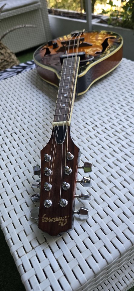 Mandolina Ibanez de segunda mano · Foto 4 de 8 · Madrid · 150 €