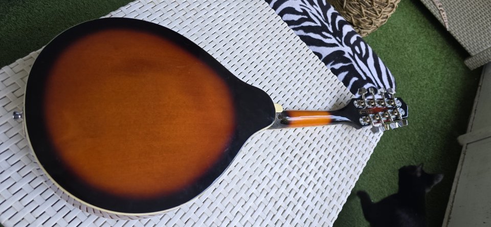 Mandolina Ibanez de segunda mano · Foto 5 de 8 · Madrid · 150 €