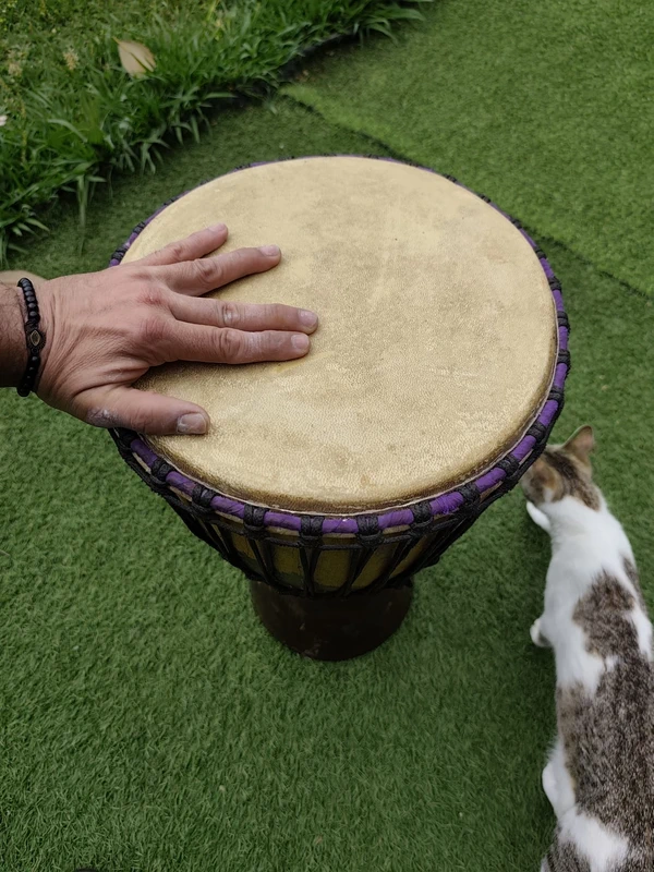 Djembé Profesional Madera Maciza Alta Densidad - 10kg - Sonido Profundo de segunda mano · Foto 5 de 10 · Girona · 270 €