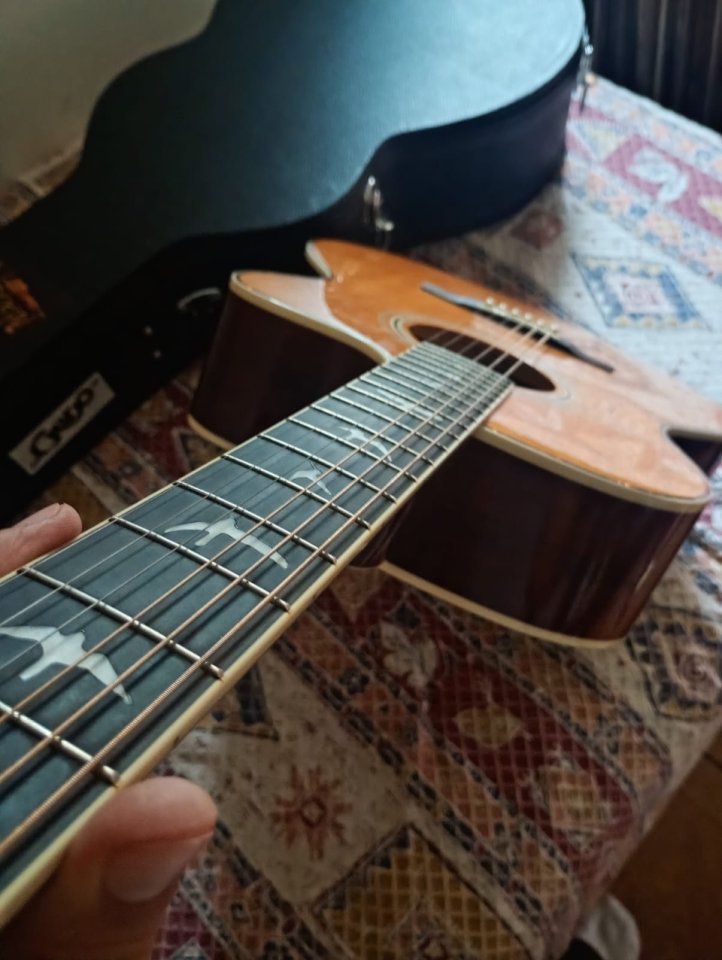 PRS SE acústica (modelo se A40E) de segunda mano · Foto 2 de 6 · Asturias · 400 €