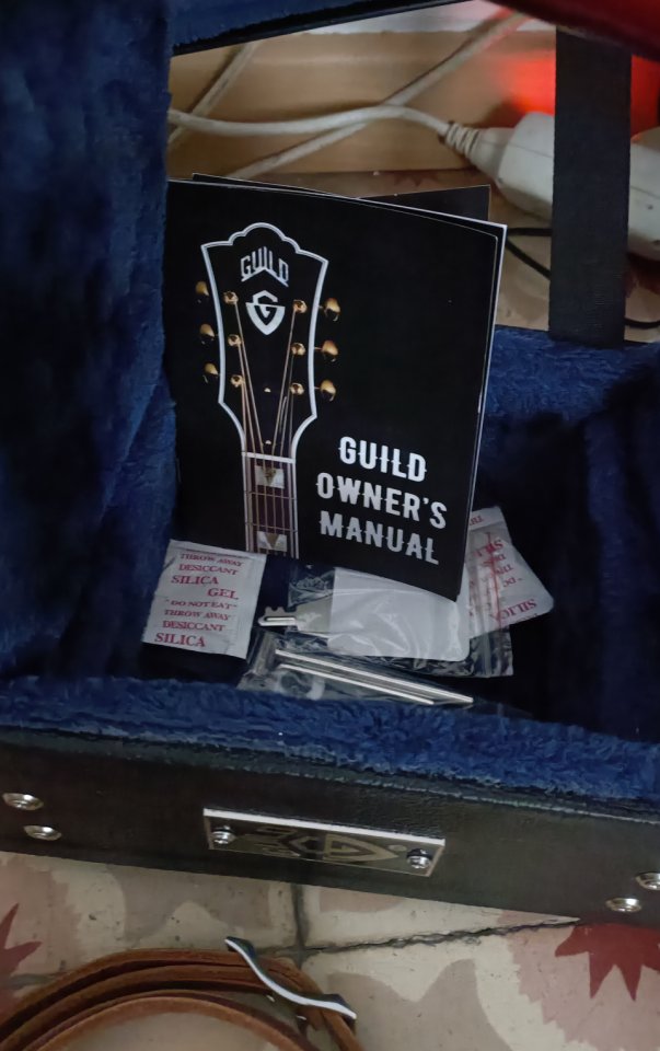 Guild Starfire III Special (Limited Edition) de segunda mano · Foto 9 de 10 · Barcelona · 2000 €
