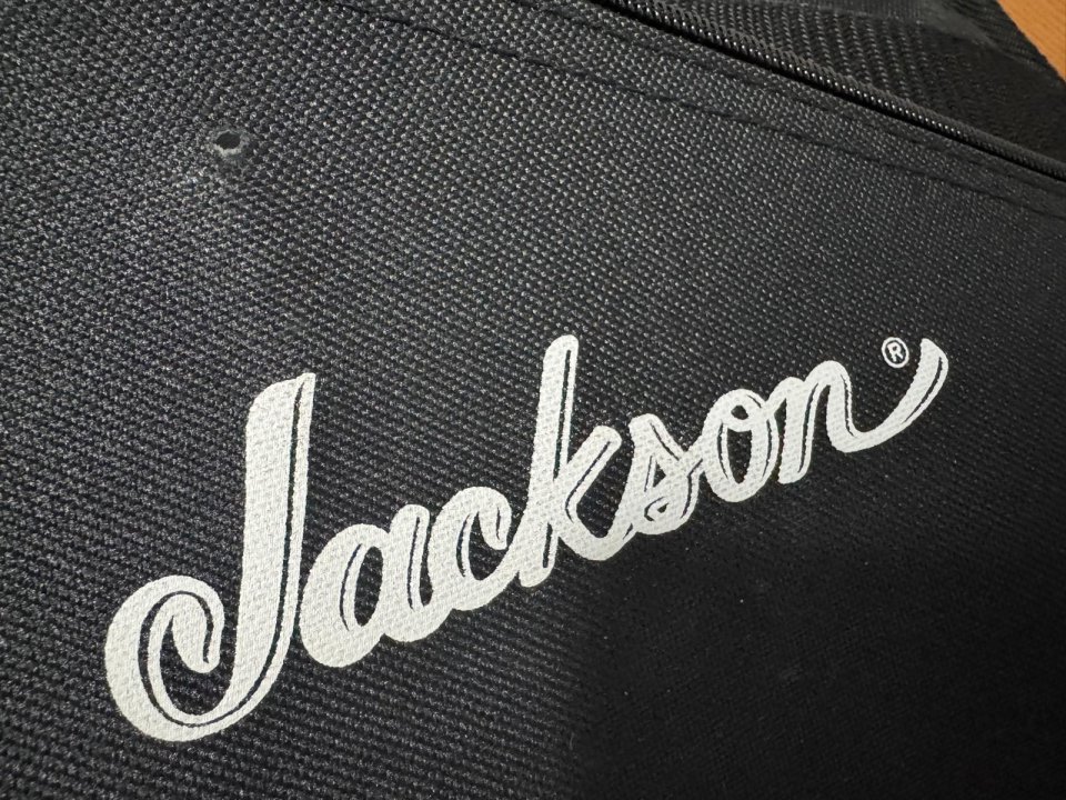 Jackson Gig Bag rectangular – Solo Venta, NO Cambios. de segunda mano · Foto 8 de 10 · Madrid · 10 €