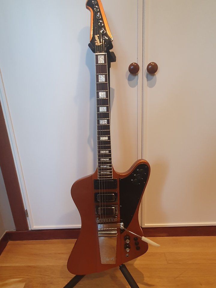 Firebird edición especial Skunk Baxter