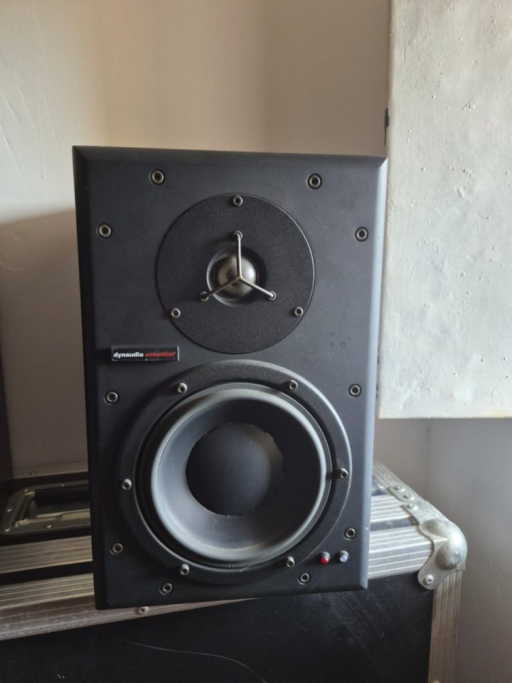 Dynaudio BM6a