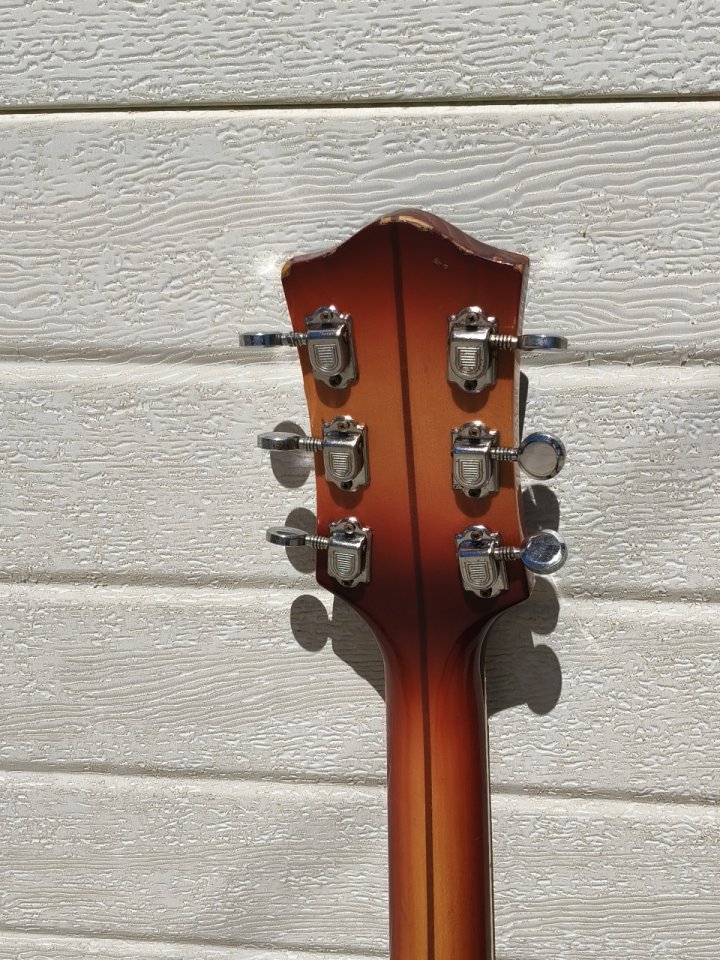 Guitarra eléctrica de caja Zerosette de 1966